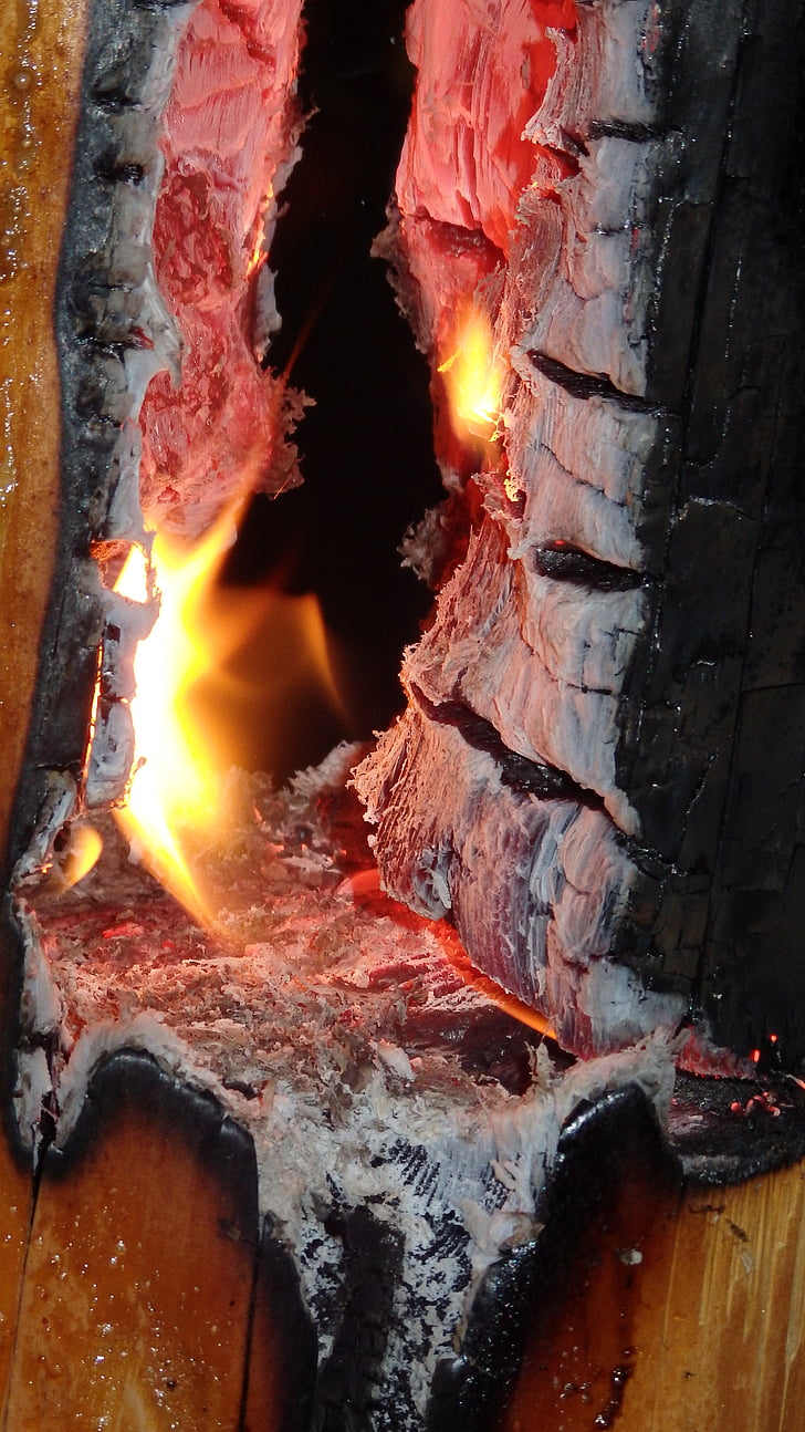 дърво факел, огън, настроение, огън - природен феномен, пламък, топлина - температура, изгаряне
