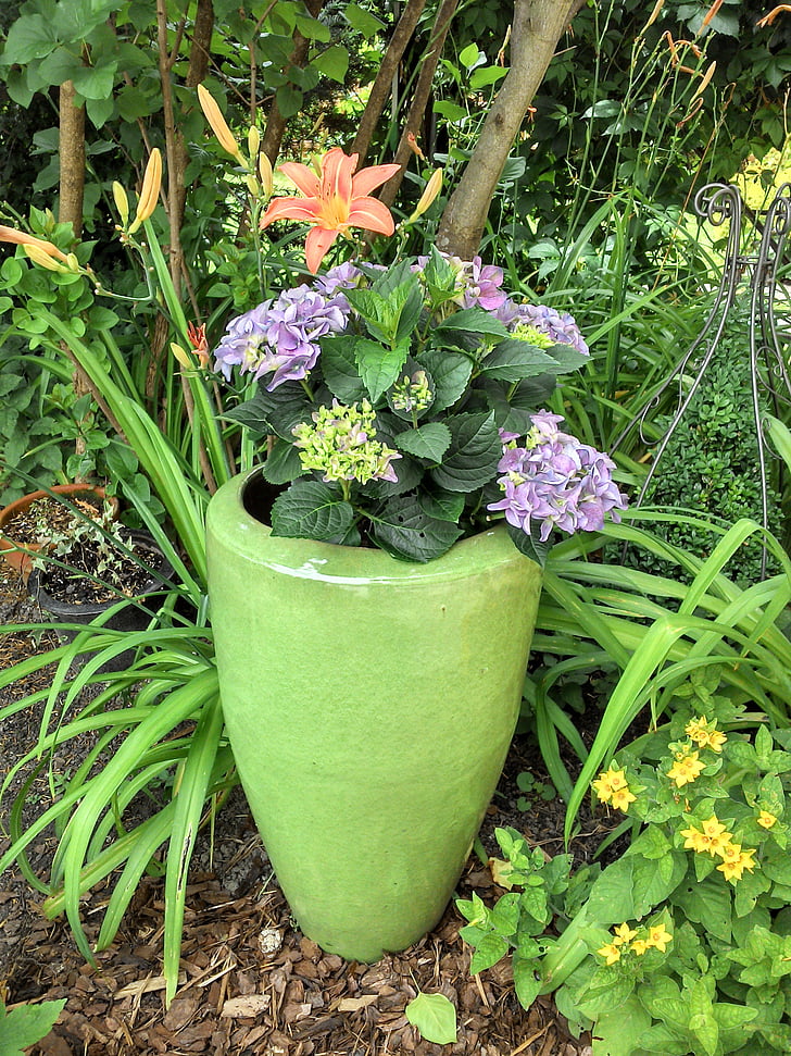 flowerpot, garden, flower vase, vase, flowers, bloom, purple