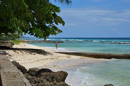 Barbados, strand, palmbomen, kust, zee, oever, zeegezicht