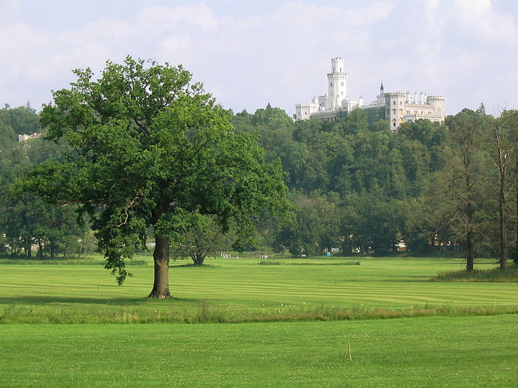 grad, drevo, golf igrišče, zelena, Hluboká, Češka, narave