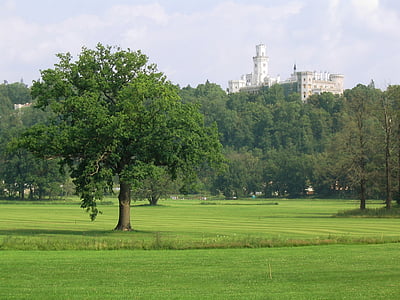 slott, träd, Golfbana, grön, Hluboká, Tjeckien, naturen