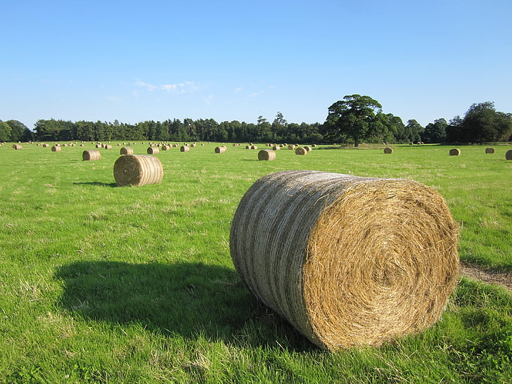 Hay, fältet, jordbruk, landsbygd, Bale, skörd, halm