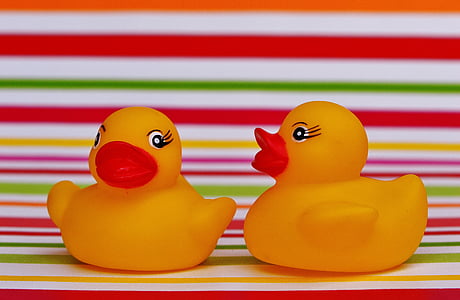 rubber ducks, quietscheente, funny summer, cute, yellow, duckling, rubber Duck