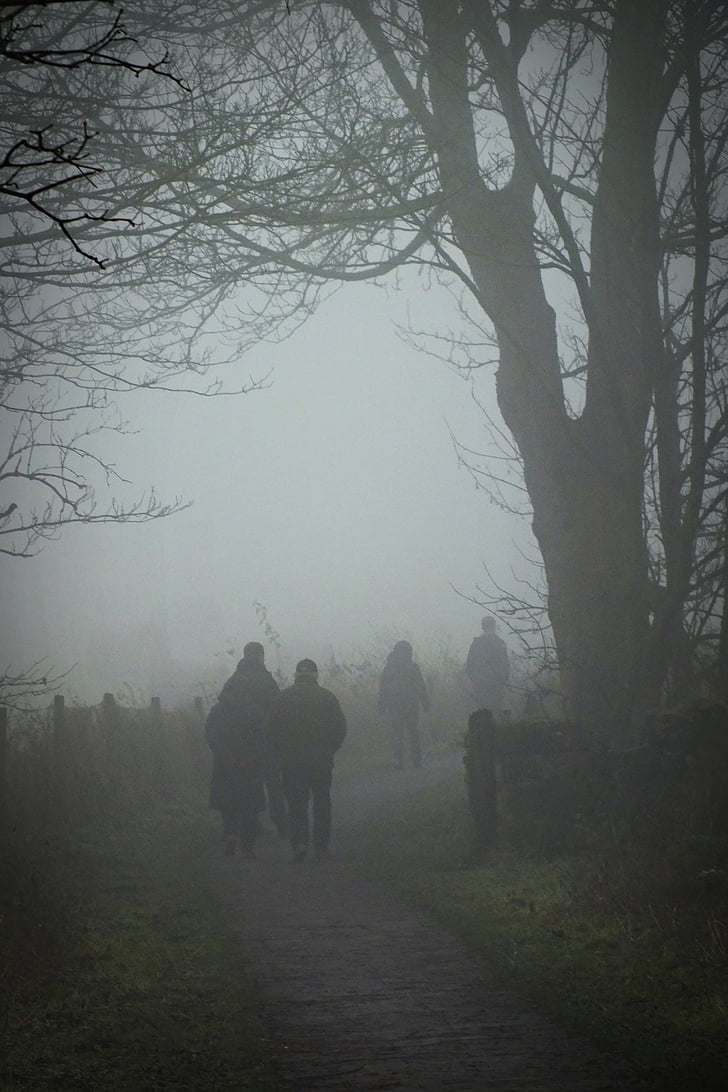 fog, walking, winter, mist