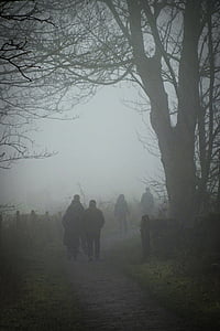 nebbia, a piedi, inverno, nebbia