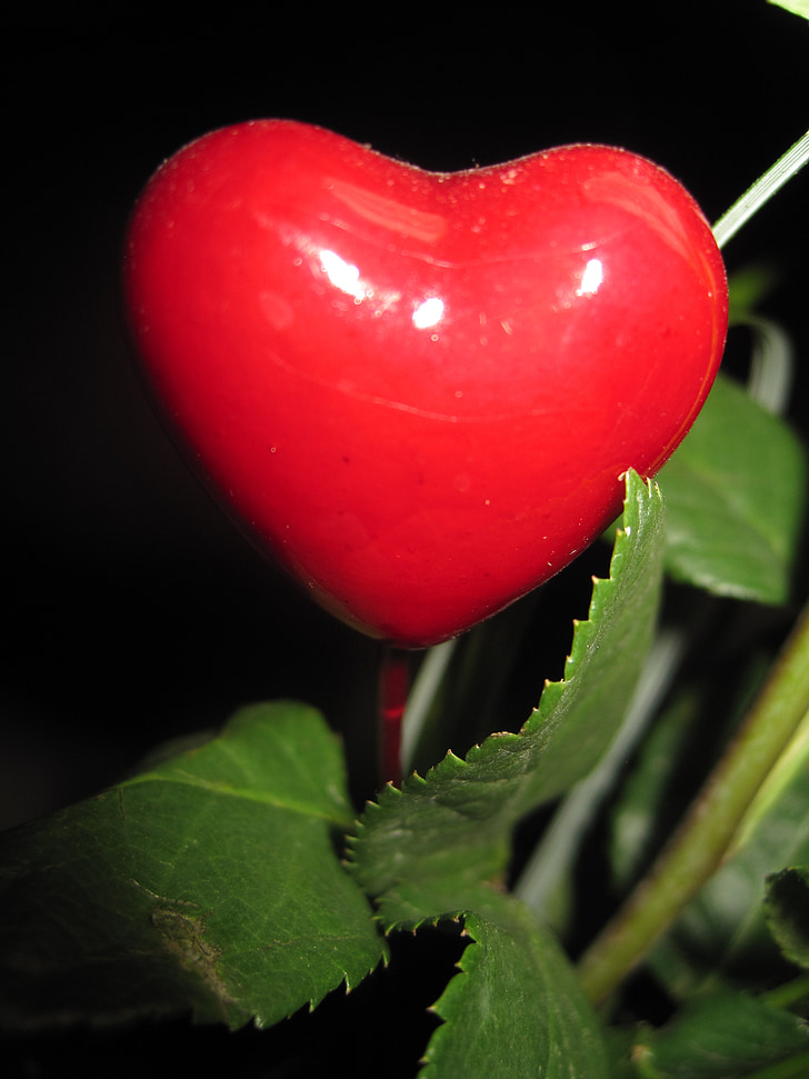 hati hari ibu, herzchen, Cinta, merah, Aku cinta kamu, Hari Valentine, dekoherz