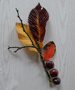 efterår, blade, Chestnut, falder, løv