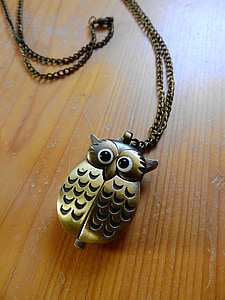 necklace, chain, owl, jewelry, gold