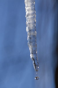 冰, 冰柱, 感冒, 冬天, 屋顶, 白色, 蓝色