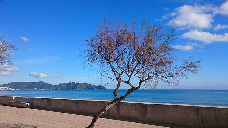 Sky, eau, arbre, bleu, montagnes, promenade de la plage
