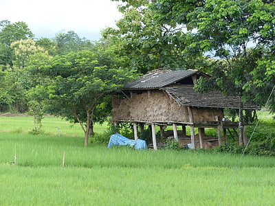 ris spannmålsmagasin, Lampang, Thailand