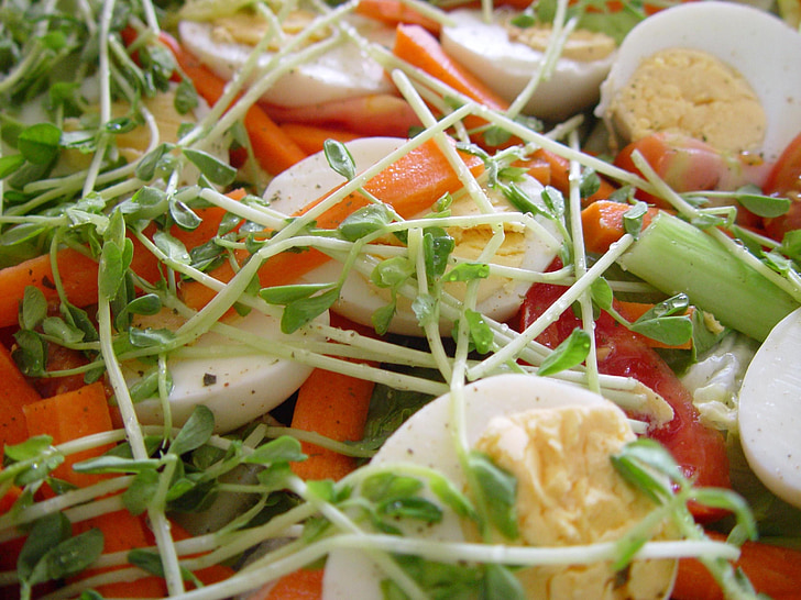 salata, piće, hrana, povrća, svježinu, gurmanski, obrok