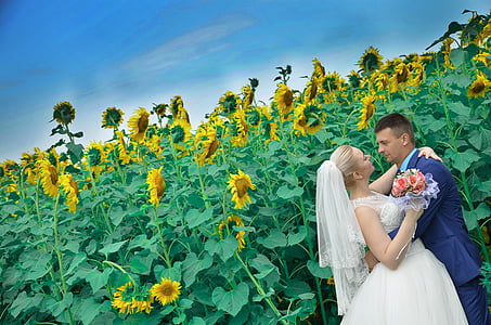 Hochzeit, Erinnerungen, paar, Sonnenblumenfeld, Sonnenblumen, Sommer, Liebe