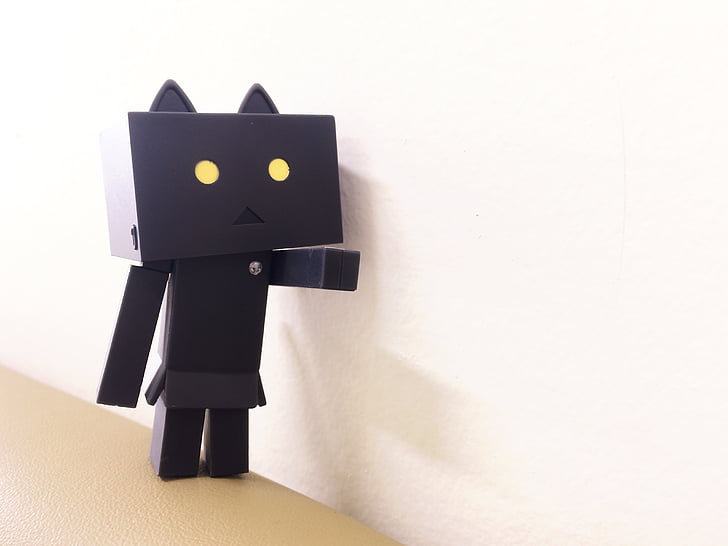 danbo, nyangbo, figures, doll, black and white, loneliness, box