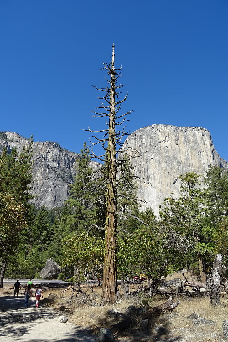 Yosemite, Národní park, El capitan, Panorama, skalní útvar, monolit, žula