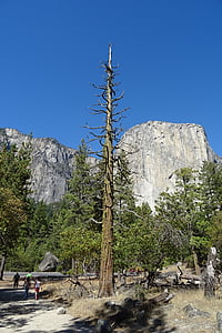 Yosemite, Parc national, el capitan, Panorama, formation rocheuse, Monolith, granit