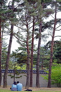 Gyeongbok palace, älskare, naturen, par, Break, vacker natur, Utomhus