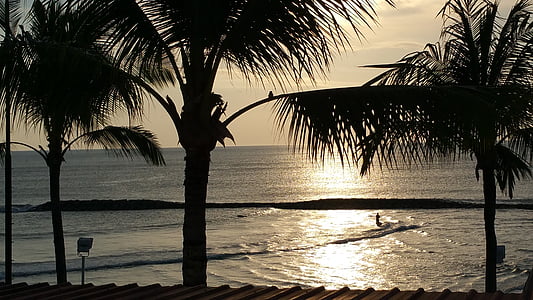 Bali, coucher de soleil, palmiers