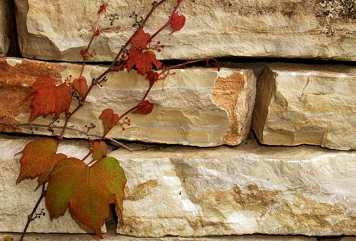 paret, maçoneria, vell, pedres naturals, mur de pedra natural