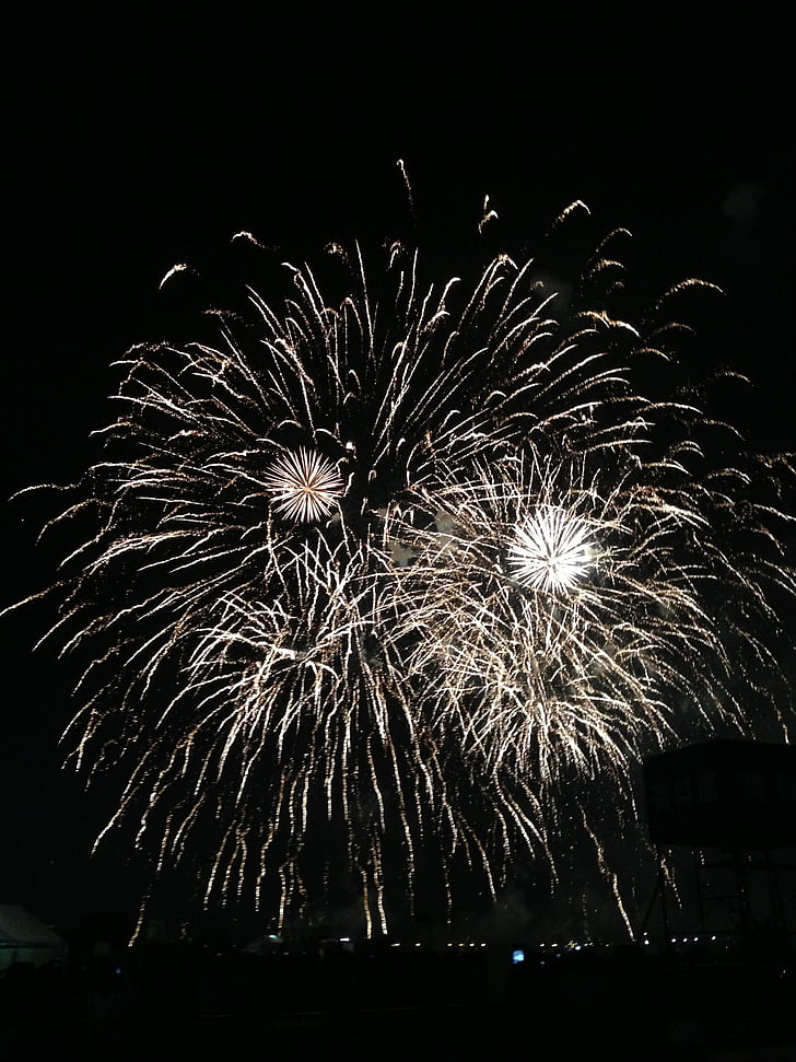 fireworks, night, summer, celebration, exploding, firework Display, event