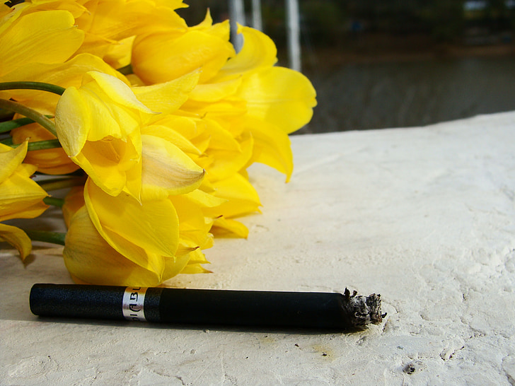 rökning, cigarett, blommor, våren