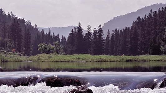 forest, lake, mountain, nature, river, trees, water