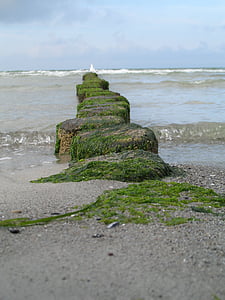 vacanta de vara, Marea Baltică, plajă, nisip, Dune, vacanta, mare