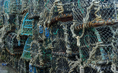 pêche, casiers, homards, corde, industrie de la pêche, Pêche commerciale nette, mer