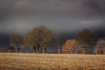 pemandangan, badai, awan, bidang, pertanian, di luar rumah, adegan pedesaan