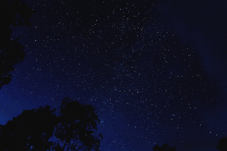 photo, starry, night, sky, star, dark, star - space