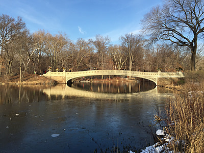 Jembatan, Danau, pohon, Taman, New york, Central park