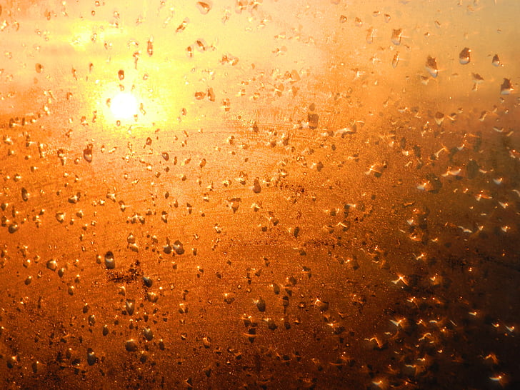 sunset, drops, evening