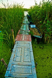 green, boat, grass, near, body, water, daytime
