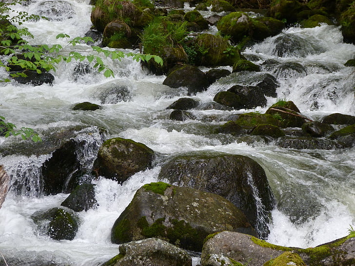 agua, Río, actual, cursos de agua, naturaleza, primavera, cascada