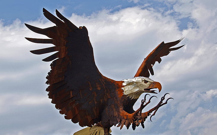 Calvo, águila, pájaro, animal, de aterrizaje, metal, moho