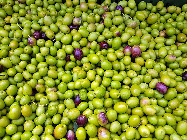 oliven, frugt, Middelhavet, naturlige, høst, økologisk, fuld frame
