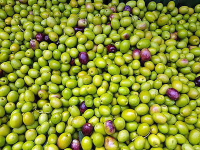 olivy, ovoce, Středomořská, přírodní, sklizeň, organický, plnoformátový