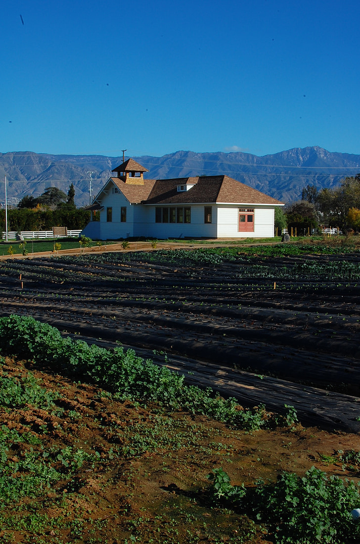 Kmetija, California, ekološko kmetovanje