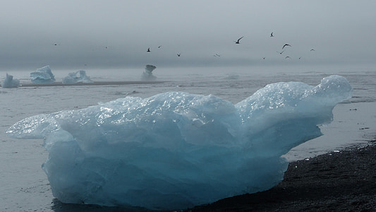Islândia, iceberg, geleira, oceano, praia