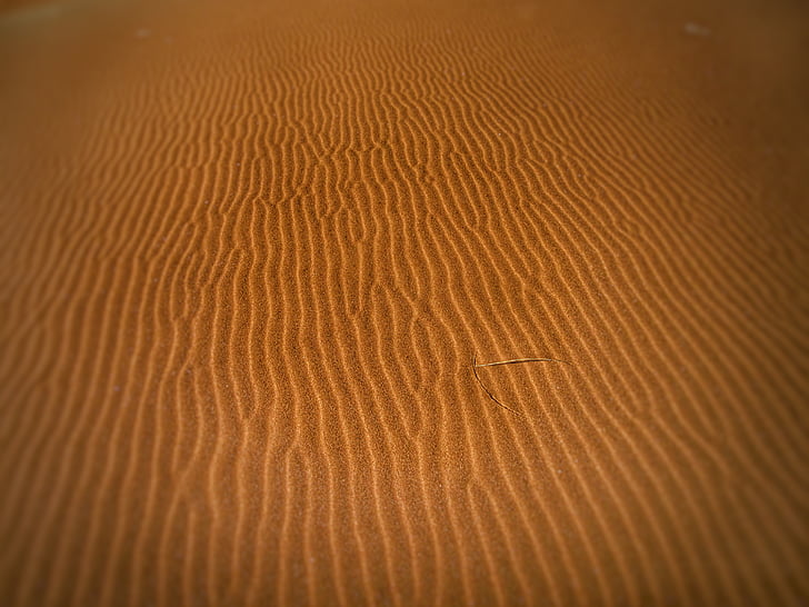 desert de, sec, Dune, dunes, calenta, sorra, dunes de sorra