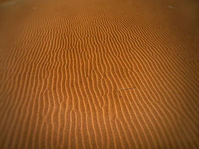 dykuma, sausas, Kopa, kopos, Karšta, smėlio, smėlio kopos