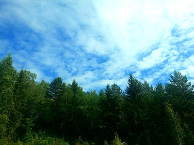 绿色, 蓝色, 夏季, 蓝蓝的天空, 景观, 芬兰语, 天空