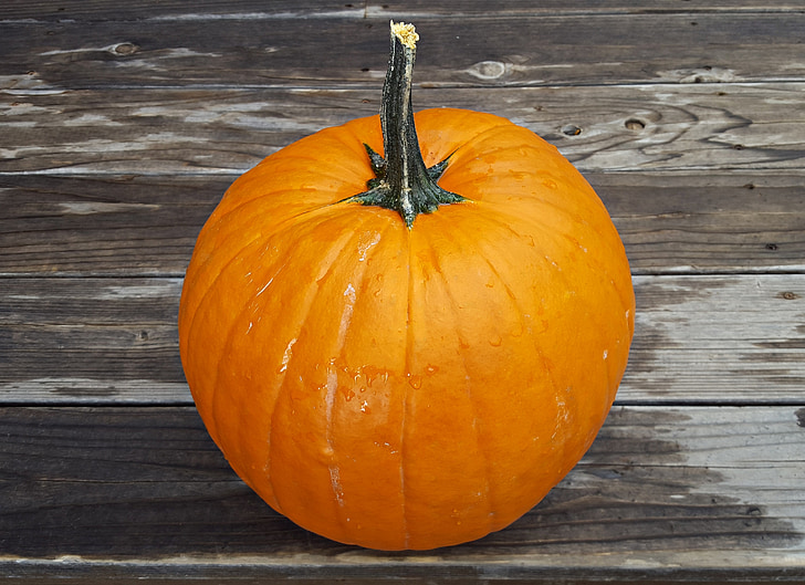 pumpa, Halloween, oktober, Holiday, Halloween pumpa, hösten, Orange