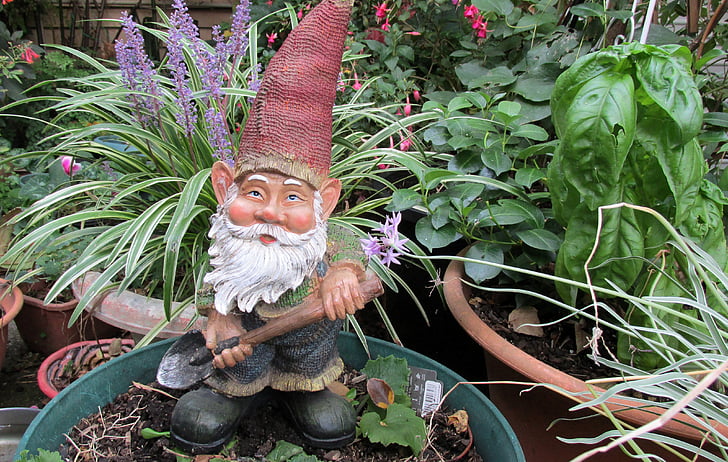 garden, gnome, digging