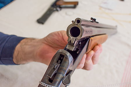 pistola, Cañón, Escopeta, 22, arma de fuego, arma, cámara