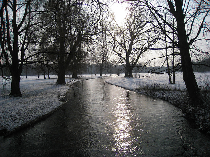 Munich, Taman Inggris, musim dingin, Bach, musim dingin, salju, pohon