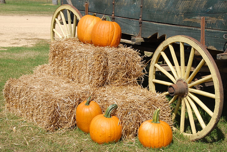 dynie, wagon, gospodarstwa, Halloween, upadek, jesień, pomarańczowy