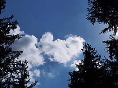 хмари, Синє небо, формування, серце, ялин, контраст, літо
