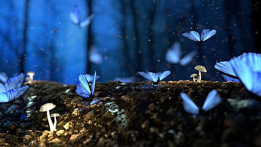 butterfly, 3d, blue, mushroom, forest, fantasy, no people