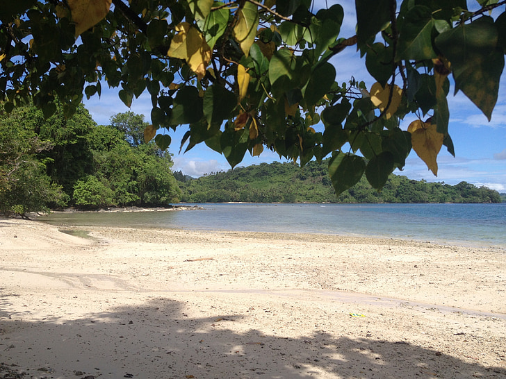 platja, Illes Fiji, tropical, l'aigua, vacances, Mar, sorra